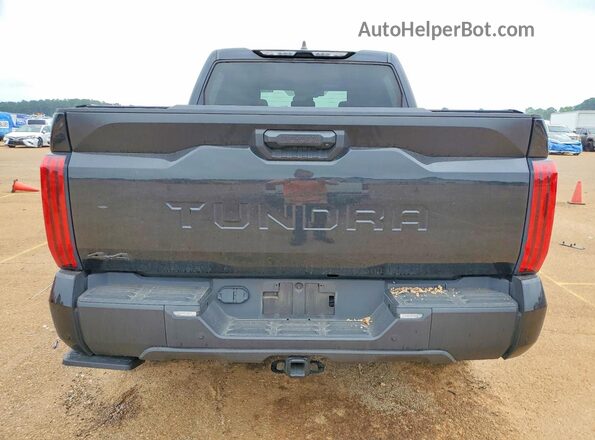 5TFLA5DB4SX282916 2025 TOYOTA TUNDRA Black უკანა ხედი