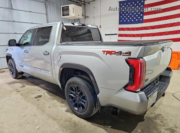 5TFMA5DB2SX273359 2025 TOYOTA TUNDRA Серебряный Задняя левая четверть