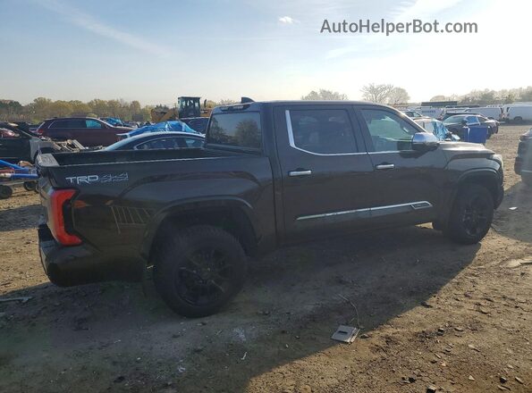 5TFMA5DB5NX038863 2022 TOYOTA TUNDRA Brown Հետևի աջ