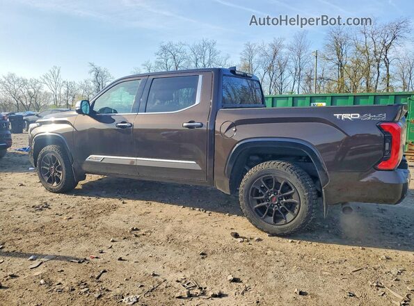 5TFMA5DB5NX038863 2022 TOYOTA TUNDRA Brown Հետևի ձախ