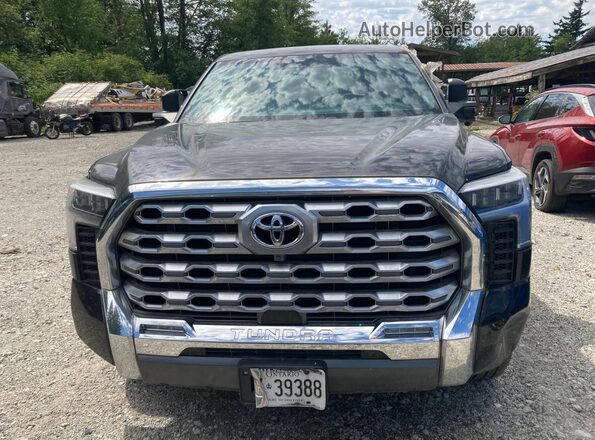 5TFMA5DBXPX123426 2023 TOYOTA TUNDRA Black Widok z przodu