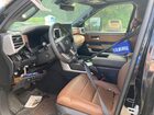 2023 Toyota Tundra Crewmax Platinum Black vin: 5TFMA5DBXPX123426