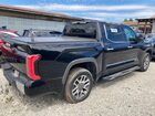 2023 Toyota Tundra Crewmax Platinum Black vin: 5TFMA5DBXPX123426