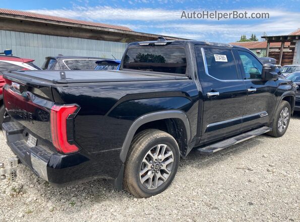 5TFMA5DBXPX123426 2023 TOYOTA TUNDRA Black Tył prawy