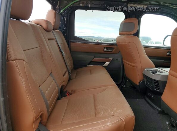 5TFMA5EC6TX049732 2026 TOYOTA TUNDRA Синий Вид задних сидений