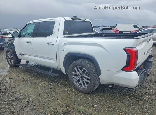 5TFMC5DB3NX009999 2022 TOYOTA TUNDRA White Tył lewy