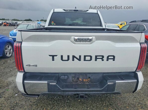 5TFMC5DB3NX009999 2022 TOYOTA TUNDRA White Widok z tyłu
