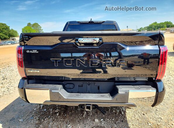 5TFMC5DB3RX082702 2024 TOYOTA TUNDRA Черный Вид сзади