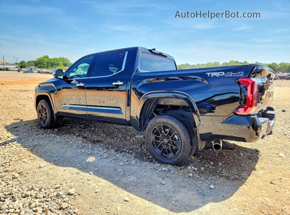 5TFMC5DB3RX082702 2024 TOYOTA TUNDRA Черный Задняя левая четверть