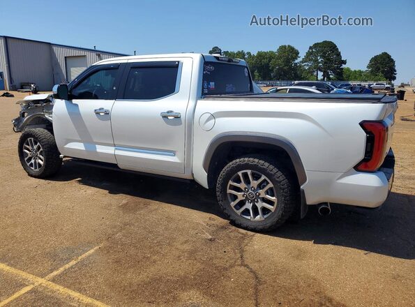 5TFMC5DB7RX080905 2024 TOYOTA TUNDRA White უკანა მარცხენა