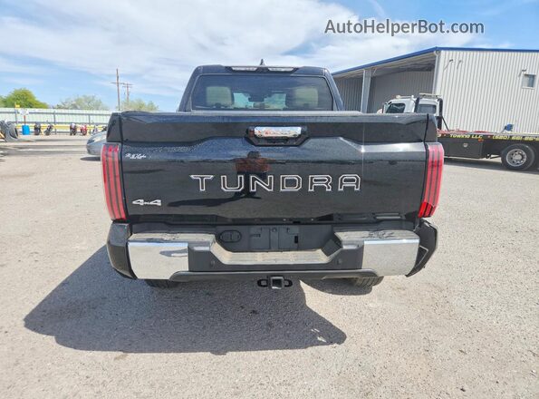 5TFMC5DBXPX028004 2023 TOYOTA TUNDRA Черный Вид сзади