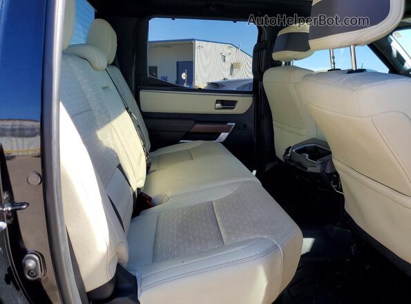 5TFMC5DBXPX028004 2023 TOYOTA TUNDRA Черный Вид задних сидений