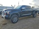 2024 Toyota Tundra 1794 Edition Hv Black vin: 5TFMC5EC5RX005479