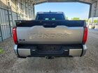 2023 Toyota Tundra Platinum Silver vin: 5TFNA5DB3PX095943