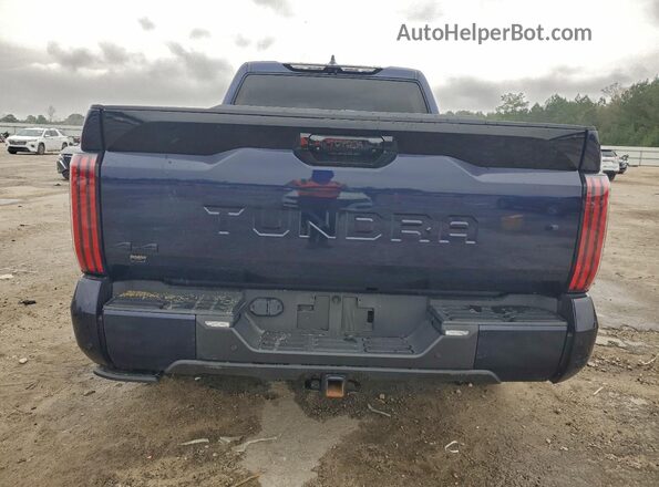 5TFNA5EC8PX019268 2023 TOYOTA TUNDRA Blue Vista trasera