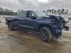 2023 Toyota Tundra Crewmax Platinum Blue vin: 5TFNA5EC8PX019268 2023 Toyota Tundra Crewmax Platinum Blue vin: 5TFNA5EC8PX019268