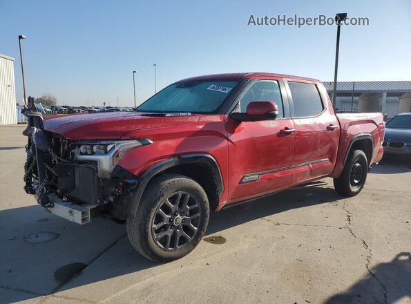 5TFNC5DBXRX050706 2024 TOYOTA TUNDRA Красный 