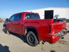 2024 Toyota Tundra Platinum Hv Красный vin: 5TFNC5DBXRX050706