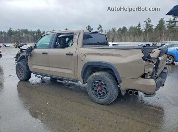 5TFPC5DB2SX087635 2025 TOYOTA TUNDRA Коричневый Задняя левая четверть