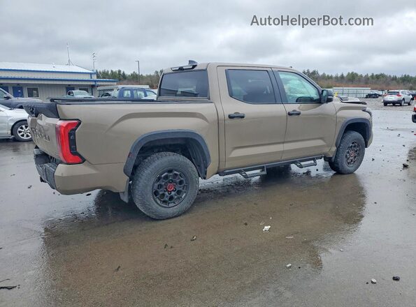 5TFPC5DB2SX087635 2025 TOYOTA TUNDRA Коричневый Задняя правая четверть