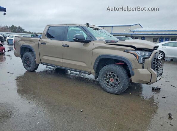 5TFPC5DB2SX087635 2025 TOYOTA TUNDRA Коричневый Передняя правая четверть