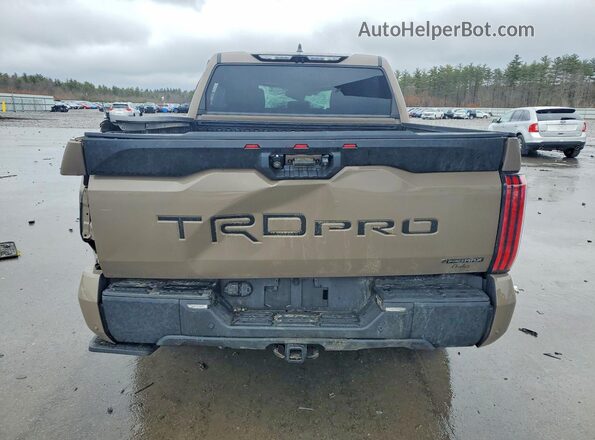 5TFPC5DB2SX087635 2025 TOYOTA TUNDRA Коричневый Вид сзади