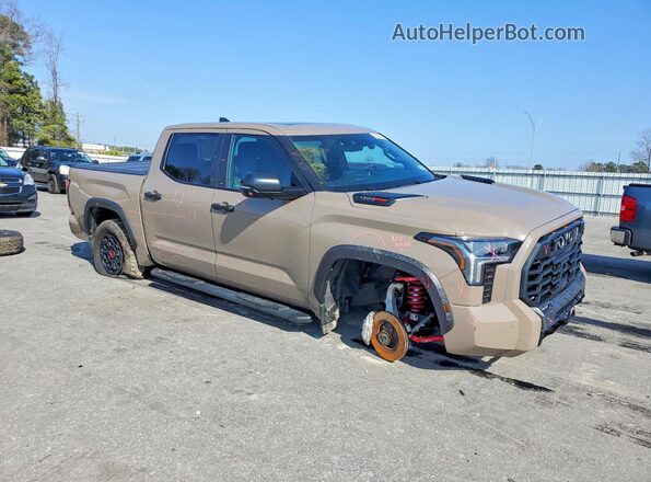 5TFPC5DB3SX106015 2025 TOYOTA TUNDRA Желто-коричневый Передняя правая четверть