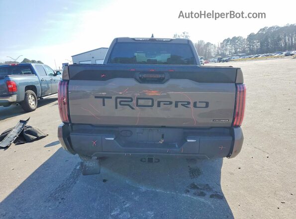 5TFPC5DB3SX106015 2025 TOYOTA TUNDRA Желто-коричневый Вид сзади