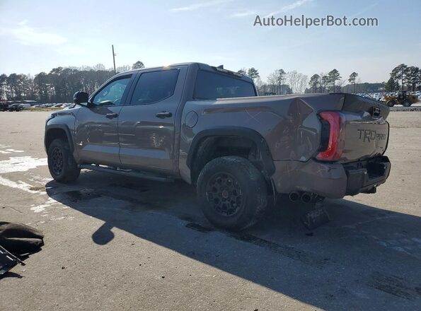 5TFPC5DB3SX106015 2025 TOYOTA TUNDRA Желто-коричневый Задняя левая четверть