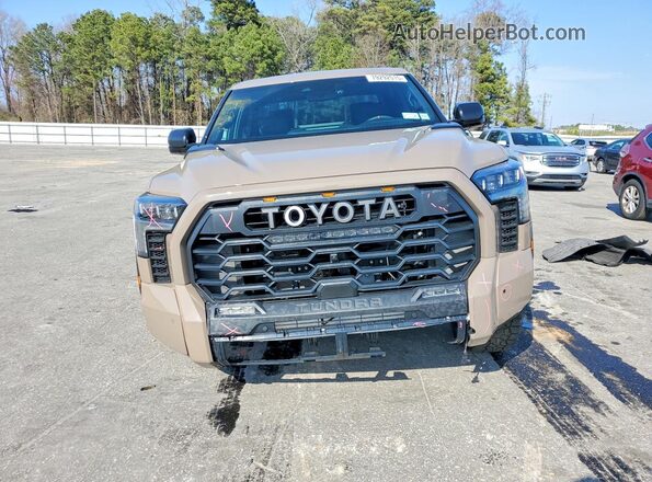 5TFPC5DB3SX106015 2025 TOYOTA TUNDRA Желто-коричневый Вид спереди