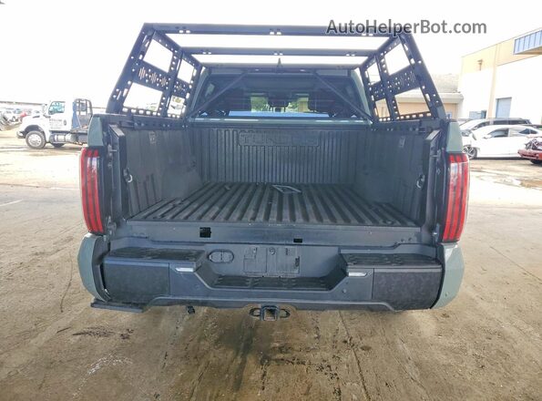 5TFPC5DBXNX013187 2022 TOYOTA TUNDRA Green Вид ззаду