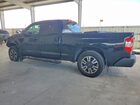 2019 Toyota Tundra Sr Black vin: 5TFRM5F10KX136244
