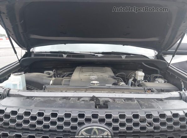 5TFUM5F13KX080391 2019 TOYOTA TUNDRA Серый Вид сзади