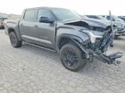 2025 Toyota Tundra Limited Gray vin: 5TFWA5DB4SX310551