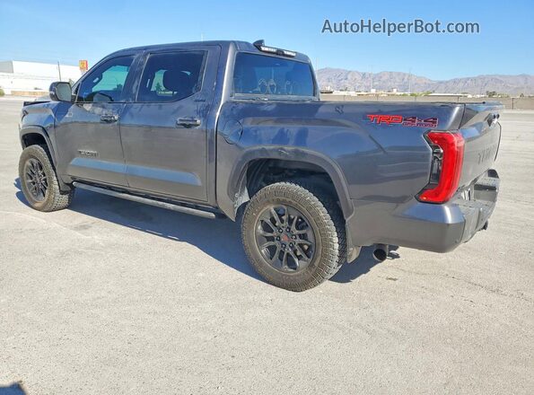 5TFWA5DB4SX310551 2025 TOYOTA TUNDRA Gray Trasero izquierdo