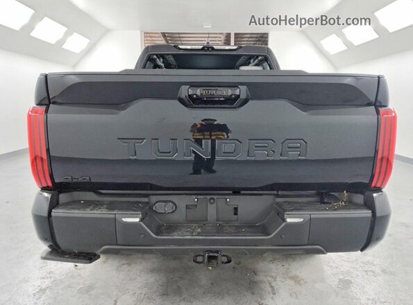 5TFWA5DB5SX275485 2025 TOYOTA TUNDRA Черный Вид сзади