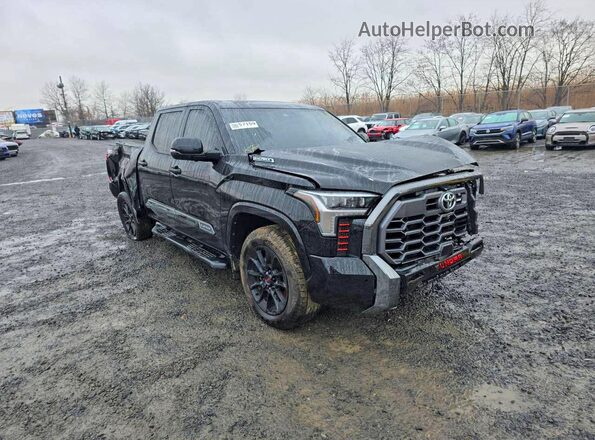 5TFWC5DB0SX090593 2025 TOYOTA TUNDRA Черный Задняя правая четверть
