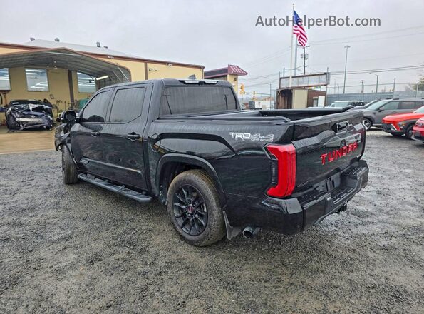 5TFWC5DB0SX090593 2025 TOYOTA TUNDRA Черный Задняя левая четверть