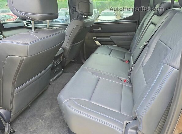 5TFWC5DB0SX090593 2025 TOYOTA TUNDRA Черный Вид задней части салона