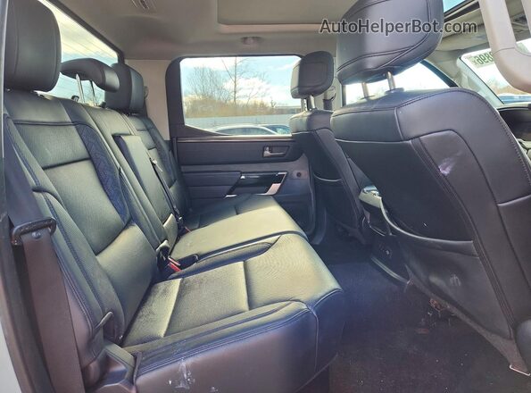 5TFWC5DB2RX075507 2024 TOYOTA TUNDRA Серый Вид задних сидений