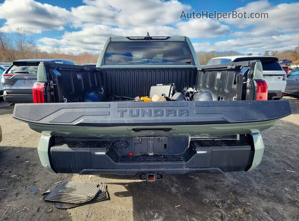 5TFWC5DB2RX075507 2024 TOYOTA TUNDRA Серый Вид сзади