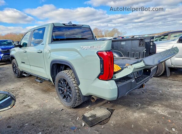 5TFWC5DB2RX075507 2024 TOYOTA TUNDRA Серый Задняя левая четверть