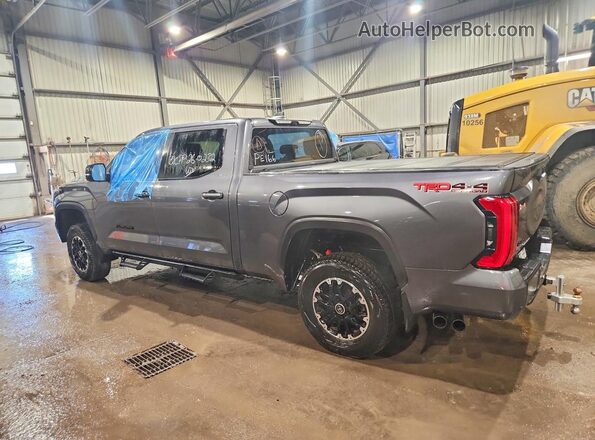 5TFWC5EC8RX005629 2024 TOYOTA TUNDRA Серый Задняя левая четверть