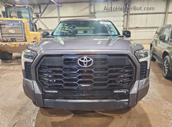5TFWC5EC8RX005629 2024 TOYOTA TUNDRA Серый Вид спереди