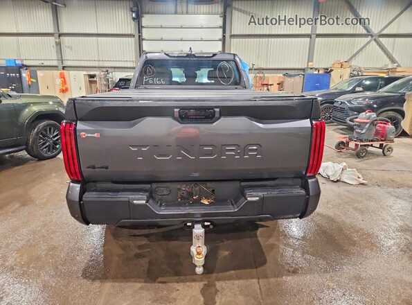 5TFWC5EC8RX005629 2024 TOYOTA TUNDRA Серый Вид сзади