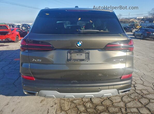 5UX13EU03S9Y91210 2025 BMW X5 Gray Widok z tyłu
