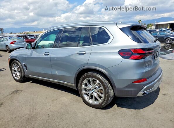 5UX13EU06S9Y91024 2025 BMW X5 Серебряный Задняя левая четверть