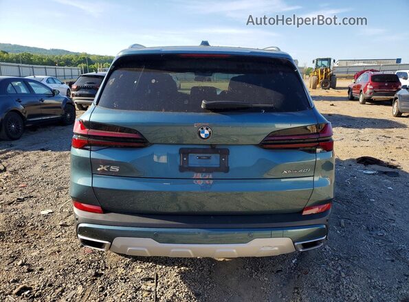 5UX23EU04R9V21172 2024 BMW X5 Зеленый Вид сзади
