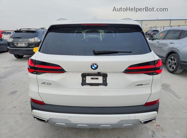 5UX23EU07S9Y99962 2025 BMW X5 White Widok z tyłu