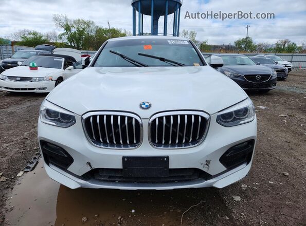 5UX2V1C00L9B80464 2020 BMW X4 Белый Вид спереди